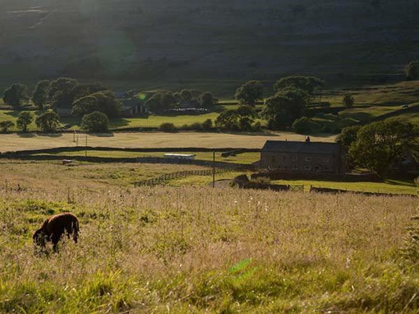 Dale House Farm Cottage Weathercote Exteriör bild